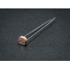 5MM LDR 5528 PHOTOCELL (PHOTORESISTOR) 