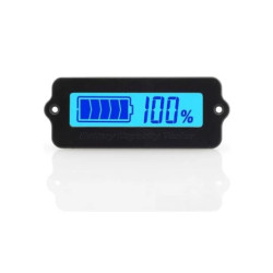 LY6W 12V TO 24V INDICATOR CAPACITY LITHIUM BATTERY  BLUE LCD