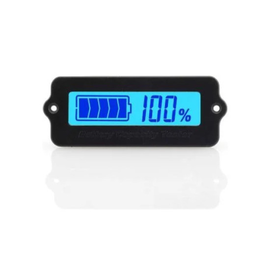 LY6W 12V TO 24V INDICATOR CAPACITY LITHIUM BATTERY  BLUE LCD